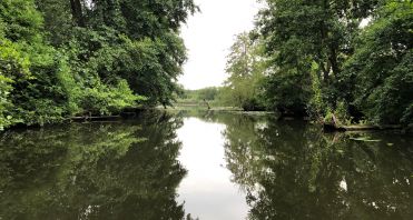 4 Wasserlandschaft - Makler Potsdam.jpg